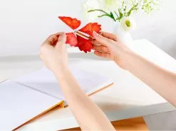 Magix Star Spaßartikel Für Party:2er-Set Scherzartikel "Flatternder Schock-Schmetterling", Je 12er-Set -Sitzmöbel Verkaufsgeschäft nx1009 1