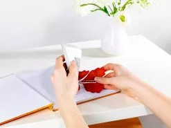 Magix Star Spaßartikel Für Party:2er-Set Scherzartikel "Flatternder Schock-Schmetterling", Je 12er-Set -Sitzmöbel Verkaufsgeschäft nx1009 2