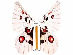 Magix Star Spaßartikel Für Party:2er-Set Scherzartikel "Flatternder Schock-Schmetterling", Je 12er-Set -Sitzmöbel Verkaufsgeschäft nx1009 7