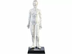 Newgen Medicals Akupunktur Puppe:Akupunktur-Modell Frau